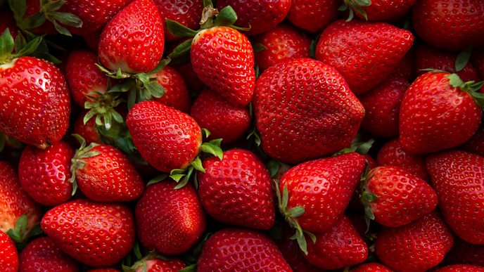 Small Mahabaleshwar Strawberry